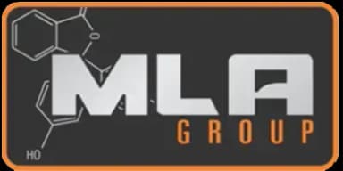 mlagroupindia_logo logo